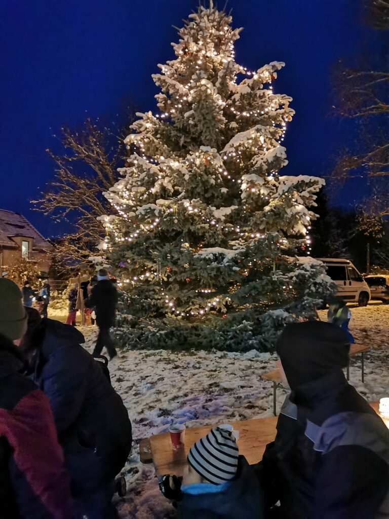 Mitmach-Weihnachtsbaum_2023